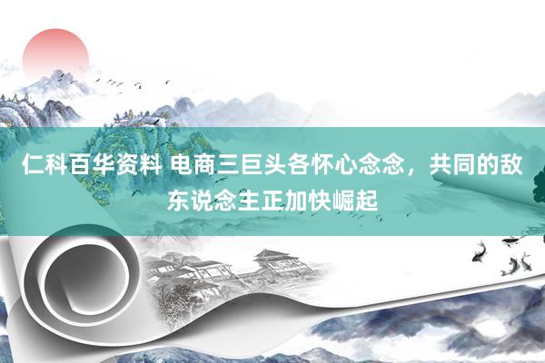 仁科百华资料 电商三巨头各怀心念念，共同的敌东说念主正加快崛起
