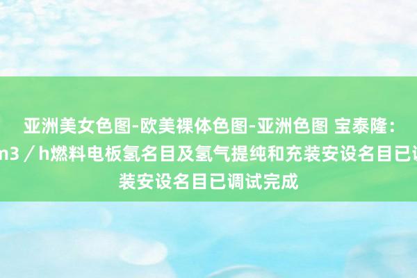 亚洲美女色图-欧美裸体色图-亚洲色图 宝泰隆：8000Nm3／h燃料电板氢名目及氢气提纯和充装安设名目已调试完成