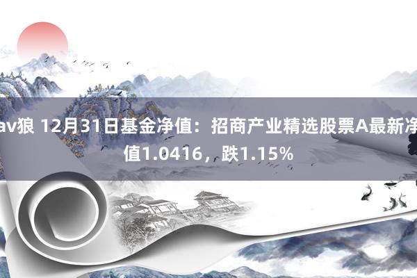 av狼 12月31日基金净值：招商产业精选股票A最新净值1.0416，跌1.15%