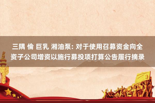 三隅 倫 巨乳 湘油泵: 对于使用召募资金向全资子公司增资以施行募投项打算公告履行摘录