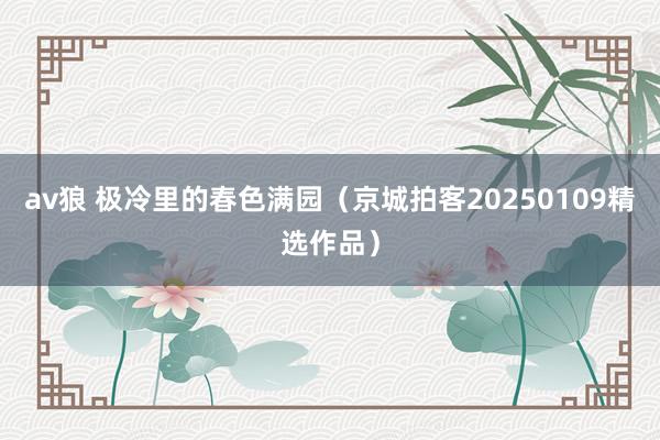 av狼 极冷里的春色满园（京城拍客20250109精选作品）