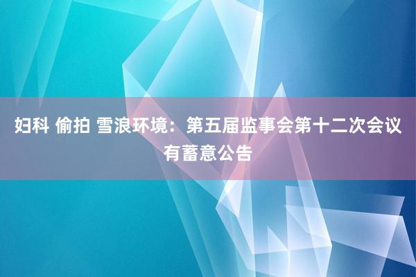 妇科 偷拍 雪浪环境：第五届监事会第十二次会议有蓄意公告