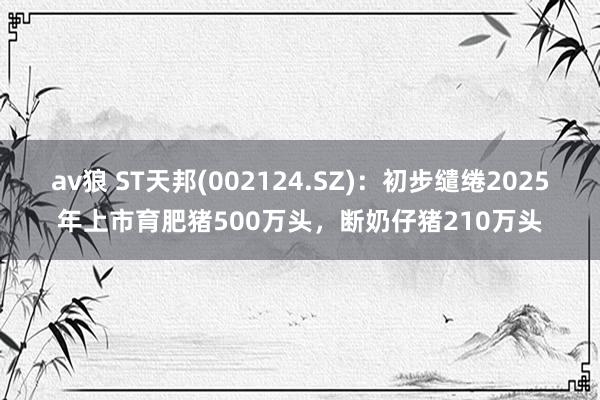 av狼 ST天邦(002124.SZ)：初步缱绻2025年上市育肥猪500万头，断奶仔猪210万头