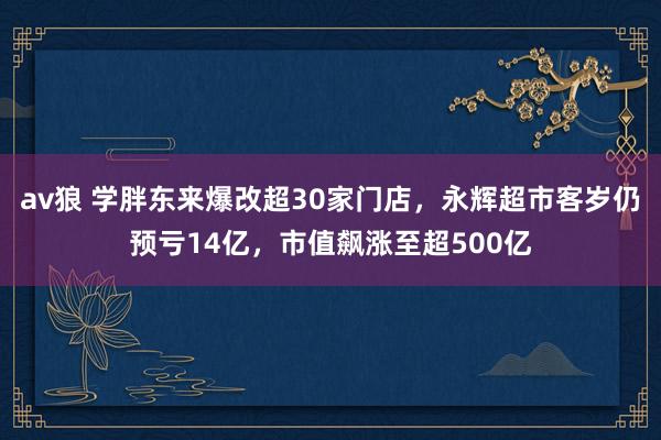 av狼 学胖东来爆改超30家门店，永辉超市客岁仍预亏14亿，市值飙涨至超500亿