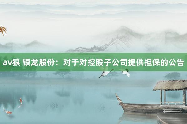 av狼 银龙股份：对于对控股子公司提供担保的公告