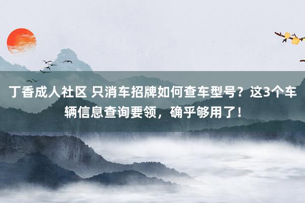 丁香成人社区 只消车招牌如何查车型号？这3个车辆信息查询要领，确乎够用了！