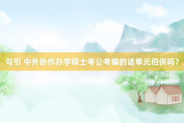 勾引 中外协作办学硕士考公考编的话单元招供吗？