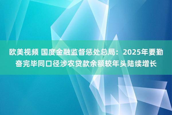 欧美视频 国度金融监督惩处总局：2025年要勤奋完毕同口径涉农贷款余额较年头陆续增长